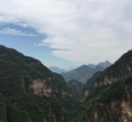 广西伴游中国伴游城(伴游网上海)