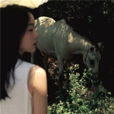 广西私家伴游让你拥有一次完美的旅游体验